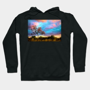 The Painted Sky Hoodie